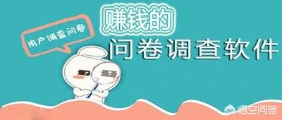 美国赚钱网站
:哪些能赚钱的调查网比较好？