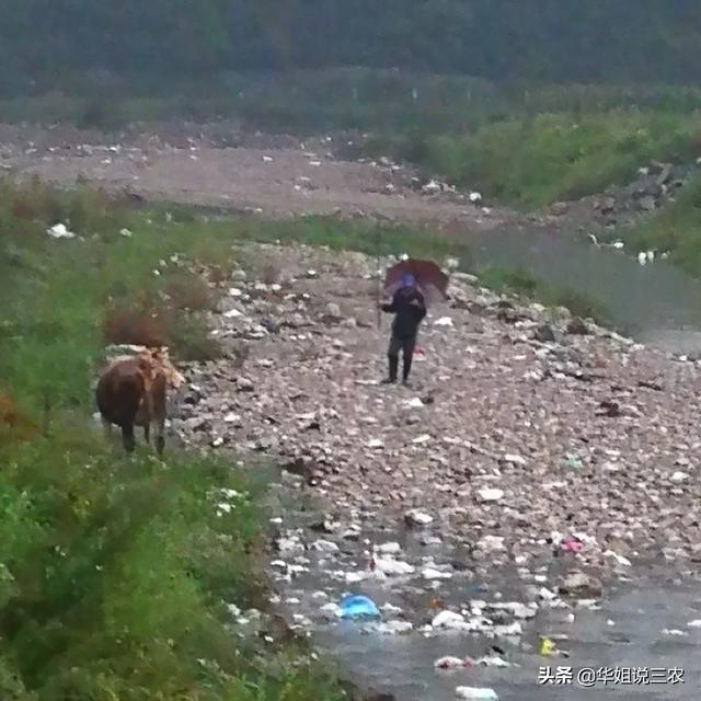 适合农村养殖
:大山农村适合养殖什么？