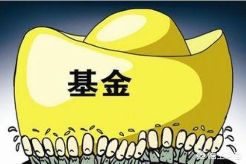 低投资的项目
:手里头有点小闲钱，想投资下，有什么好的项目吗？