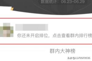群排名
:qq怎么查王者荣耀群排名？