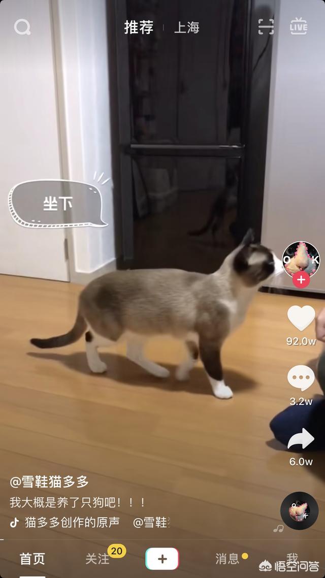 抖音播放量怎么看
:怎么查看抖音的热度？