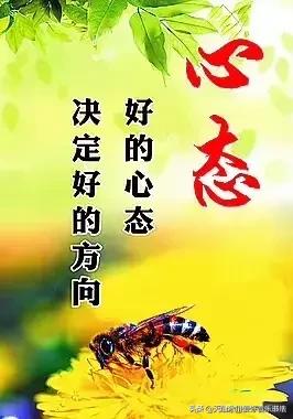 怎么查找位置
:如何找到自己正确的位置？
