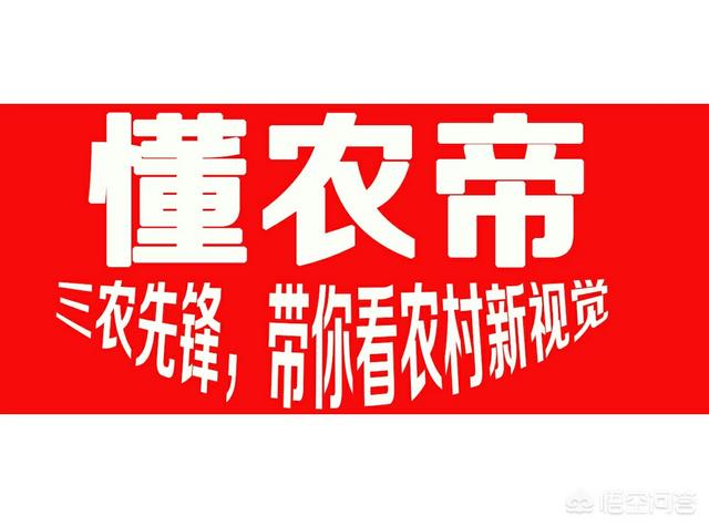 工艺品代加工
:在农村做什么加工或代加工合适？