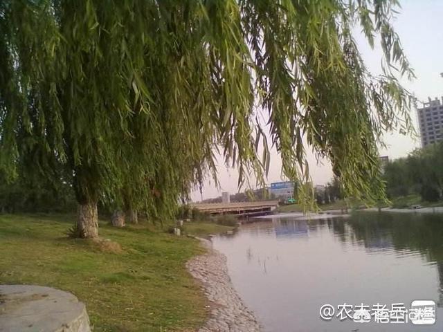 你得支棱起来啊
:农村人说的“矬子肚包三把刀”是什么意思？有道理吗？
