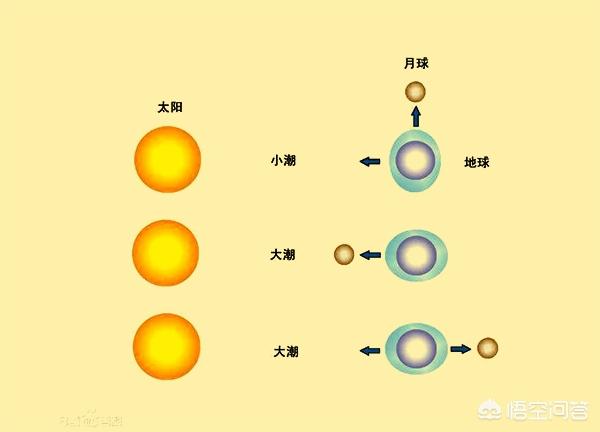 潮汐的意思
:为什么会涨潮和退潮，是什么原理？