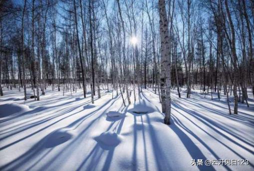 流苏是什么
:白桦一课中雪绣的花边和洁白的流苏分别指什么？
