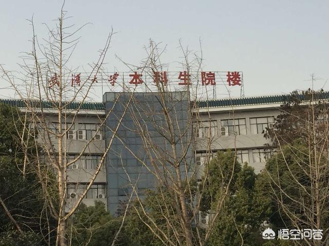 新媒体公司
:为何新媒体公司招人这么难？