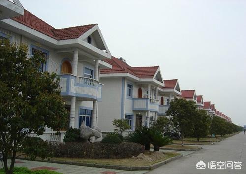 潜力项目
:在农村，发展哪种项目有前景？