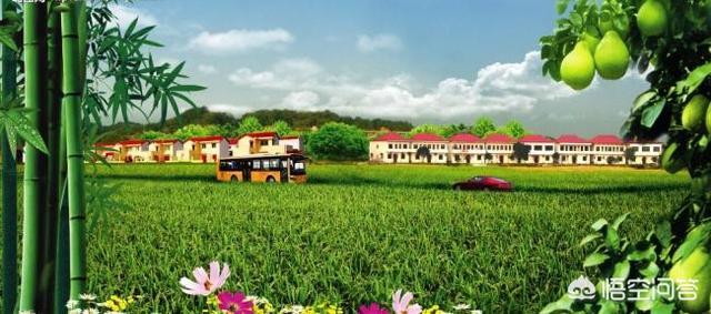 潜力项目
:在农村，发展哪种项目有前景？