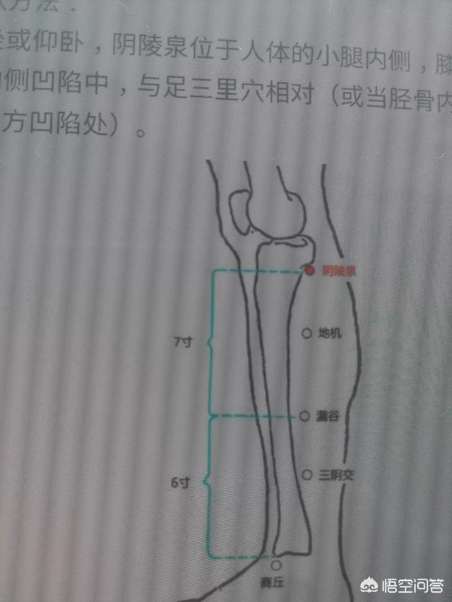 阴陵泉的作用
:什么症状可以按阴陵泉穴？