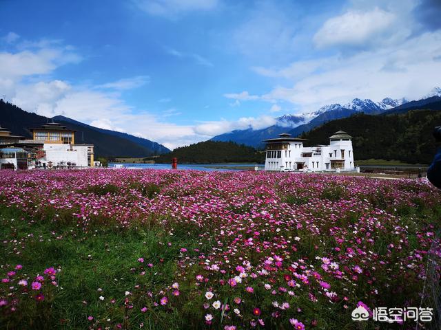 新疆是哪个省
:新疆和西藏哪个省的自然景观更美？