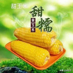 发财致富种植
:今年由于疫情，在家里种植什么最容易让农民发家致富？