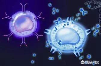 新兴行业有哪些
:现在有哪些新兴行业？