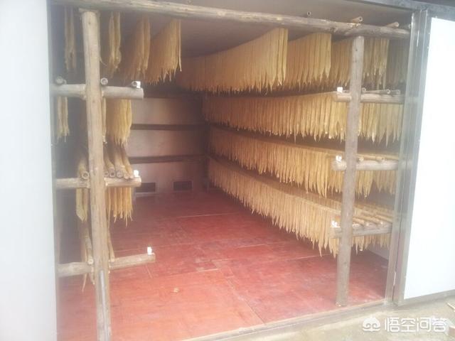 致富机械
:农村蔬菜烘干成为了新的致富门路，一套蔬菜烘干设备大概什么价位？