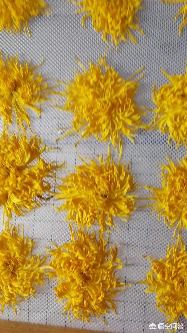 致富机械
:农村蔬菜烘干成为了新的致富门路，一套蔬菜烘干设备大概什么价位？