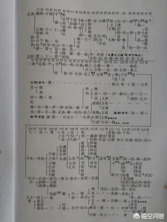 搜集资料的方法
:怎样搜集家谱资料？