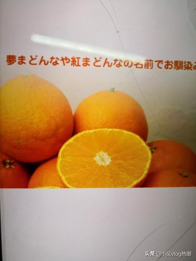 橘子的种类
:想吃橘子，市面上哪种橘子好吃？