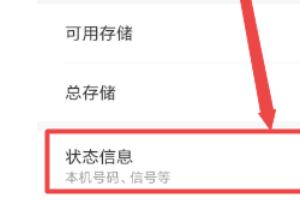 手机查询位置
:怎么查看手机的ip地址？