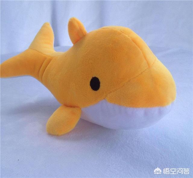 代加工厂项目
:有没有可以在乡镇做代加工的小项目？