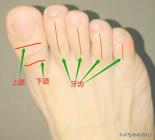 牙疼有啥好办法止疼
:牙齿疼得很厉害该怎么办?有什么好的办法止疼吗？