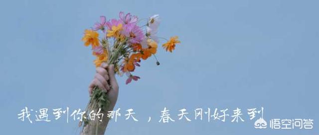 赏花文案
:关于描写春天的唯美文案句子有哪些？