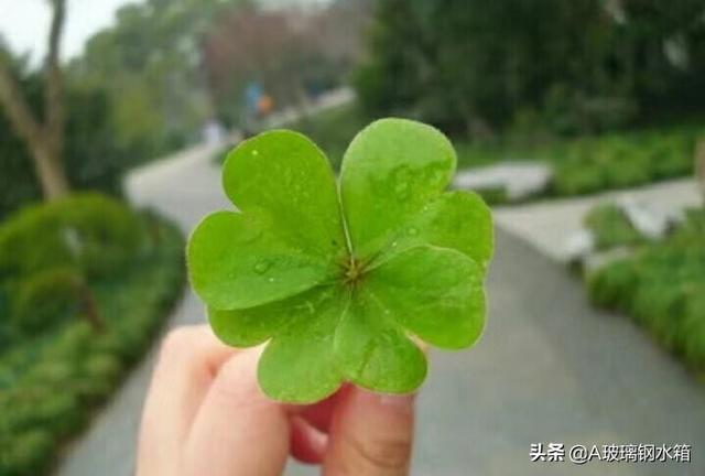 网络广告的发布
:怎么在网上做广告？