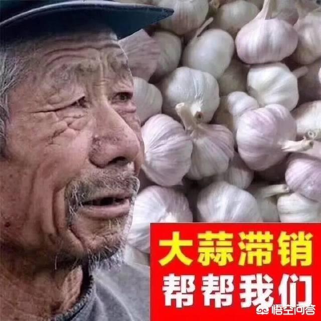 怎样在抖音上卖东西
:抖音里总是有人发出水果卖不出去，果农坐地里痛哭，为什么就不便宜卖出去？