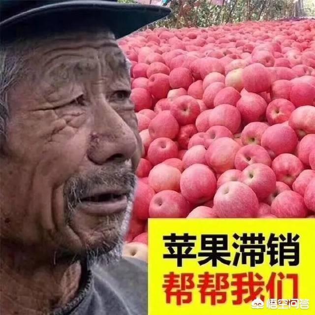 怎样在抖音上卖东西
:抖音里总是有人发出水果卖不出去，果农坐地里痛哭，为什么就不便宜卖出去？