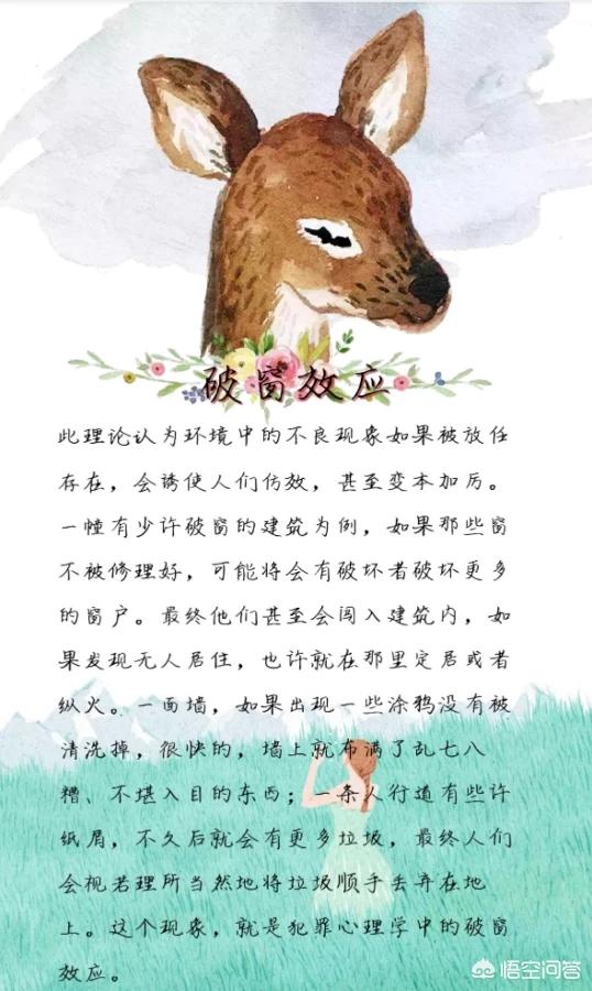 破窗效应是什么意思
:破窗效应在教育活动中有什么借鉴意义？