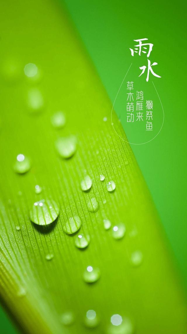 雨水节气海报
:雨水这个节气有什么习俗？