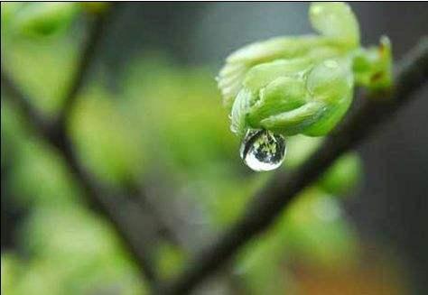 雨水节气海报
:雨水这个节气有什么习俗？