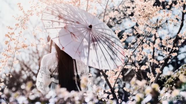 生活软文
:人生处处是风景，生活处处是诗意，做为文案怎么样？