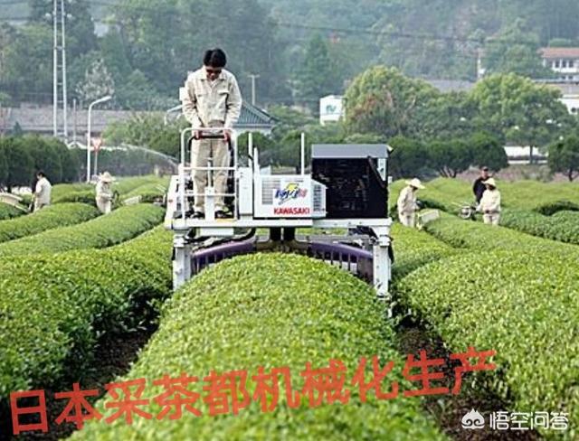 小型致富机械设备
:同为小农经济，日本的农业机械为何如此发达？