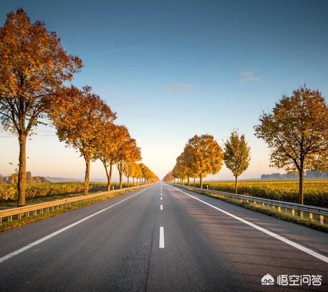 流量网赚
:流量赚钱的原理是什么？