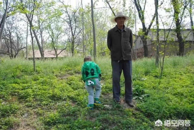 怎样快速推广
:如何快速把自己的广告推广出去？