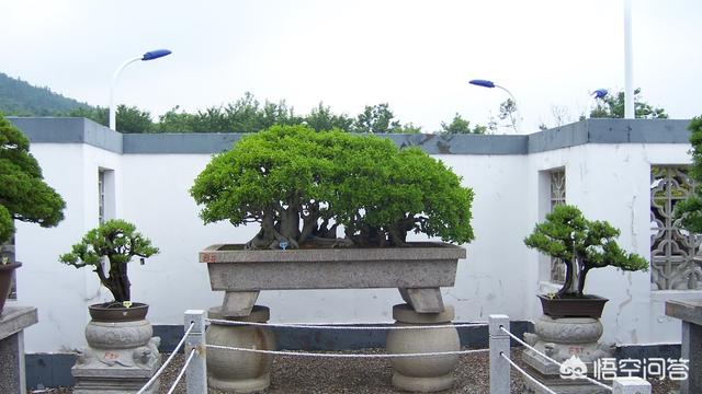 招商引资怎么做
:乡村旅游项目怎么招商引资？