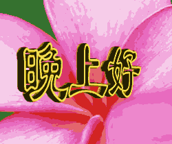 端午节礼品
:端午节给未来丈母娘送什么？