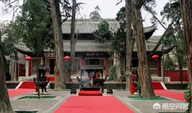 松柏树
:松柏树适合在庭院栽吗？