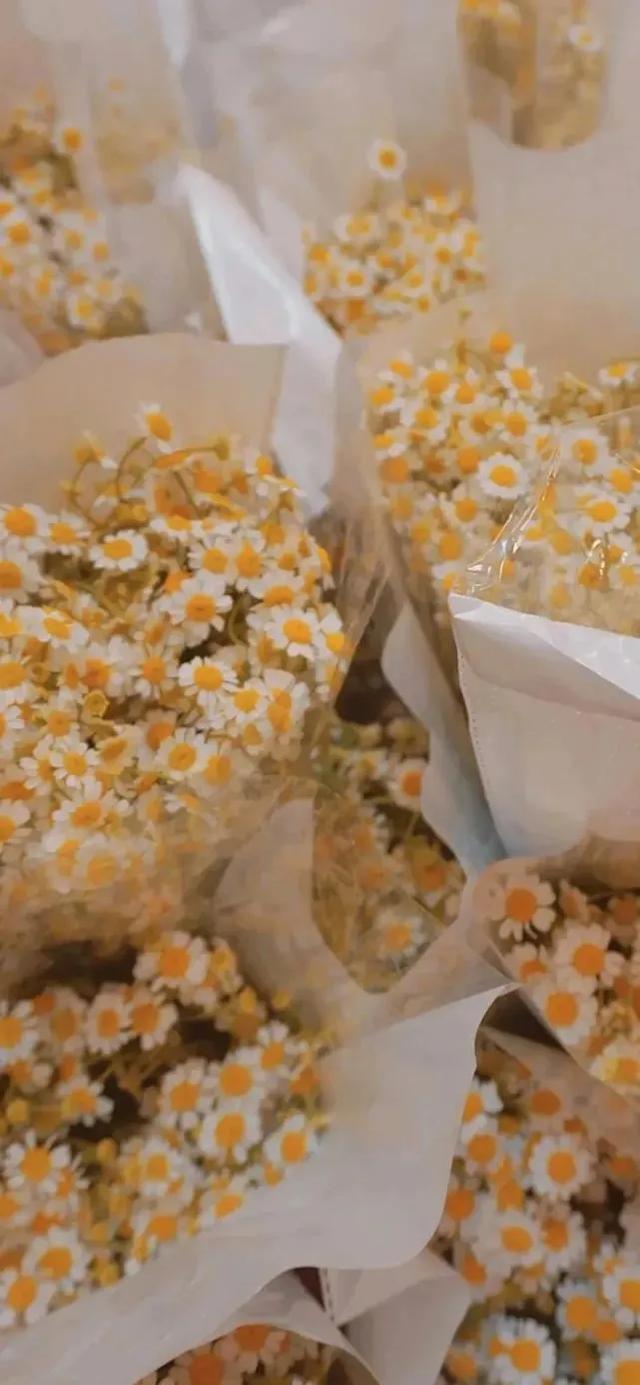 文案
:有哪些文案你收藏了很久？