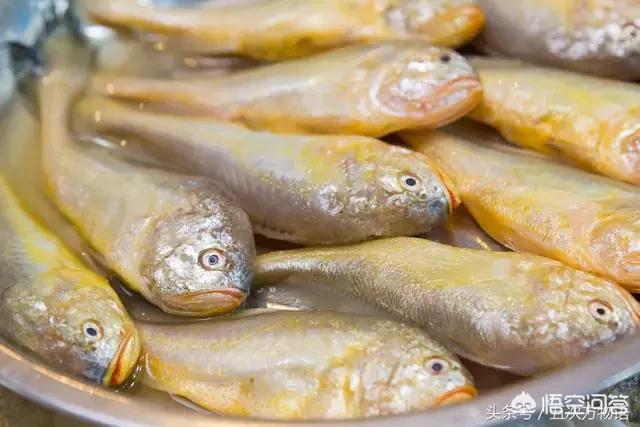 海鱼有哪些
:有哪几种比较好的食用海鱼推荐一下？