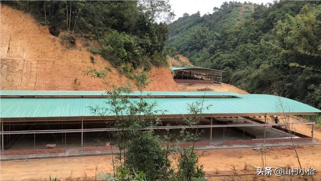 种植养殖项目
:请教大家现在振兴新农村建设，有什么种植，养殖项目，相对较稳定？