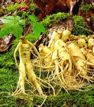 好的农业项目
:今年都有哪些比较火的特色农业种植项目？