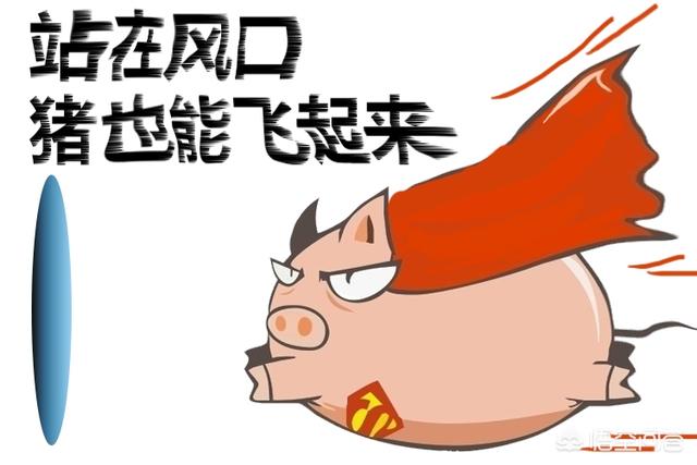 网络推广学习网站
:哪里可以学习到网络营销推广知识？