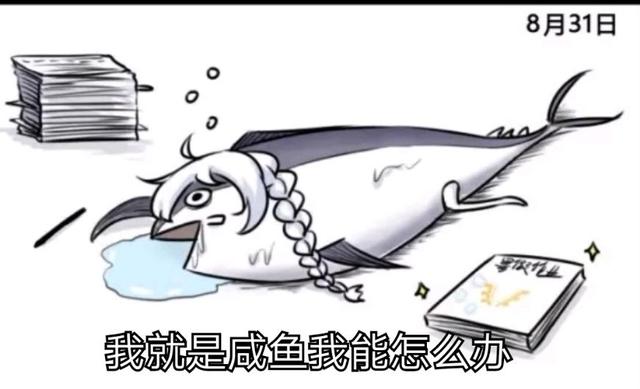 软件分享网站
:能不能把各位收藏的好的网站或者APP分享给大家？