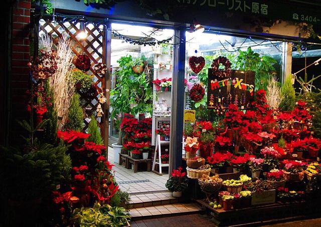 花店文案
:花店最好吸引客户的广告语如何写？