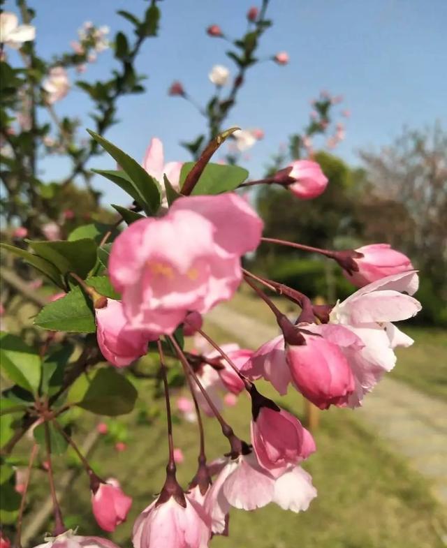 晓风残月银蛇
:用来形容残月的古诗有哪些？