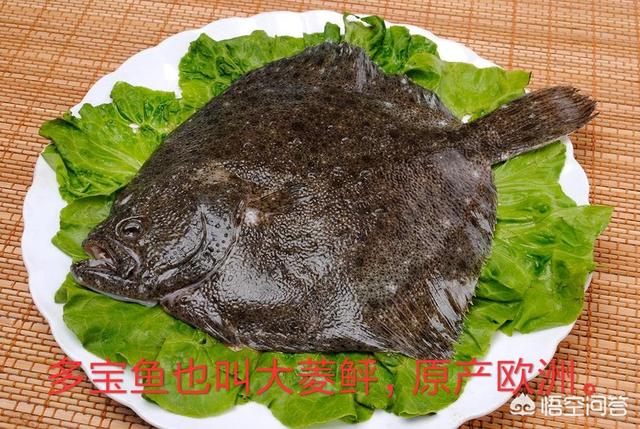 多宝鱼多少钱一斤
:偏口鱼为什么比多宝鱼便宜？