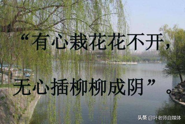 投稿赚钱
:喜欢写作，是写文章投稿公众号挣钱还是在头条开作者权限挣钱？