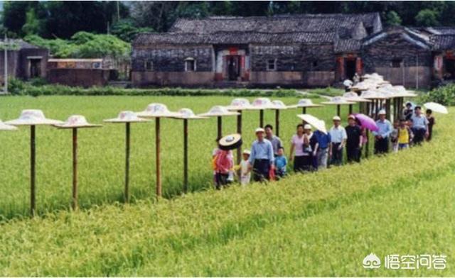 旅游网络推广
:怎样把村里的旅游业推广出去？