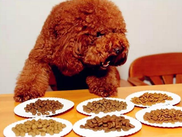 狗粮品牌
:国内现在有什么牌子的狗粮质量好一些呢？